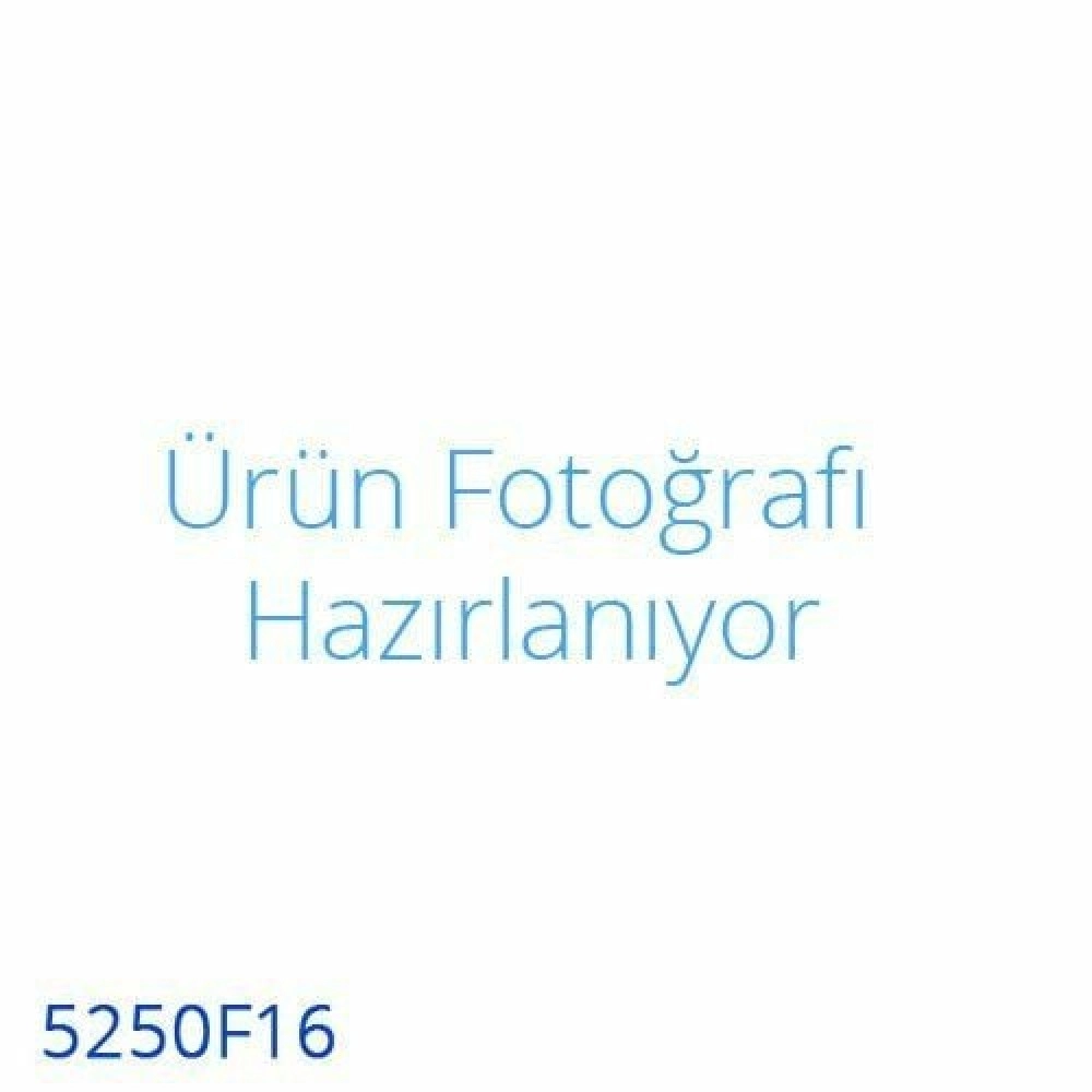 Yıldız 5250F16 Basınç Düşürücü CO2