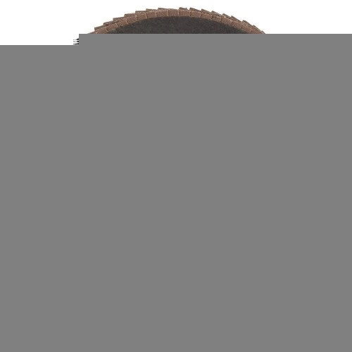 Bosch - 180 mm 40 Kum Best Serisi Metal Flap Disk