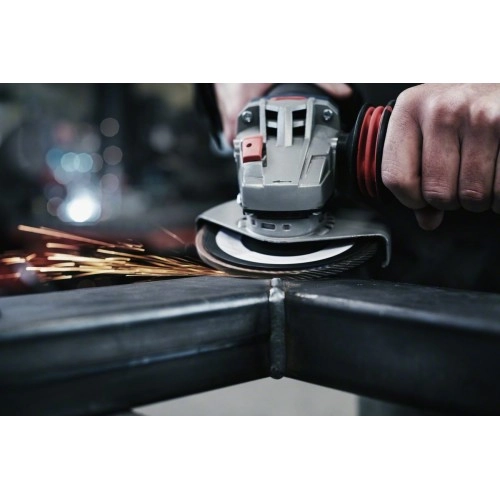 Bosch - 125 mm 80 Kum Expert Serisi Metal Flap Disk